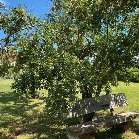 Les Feuilles Jaunes Chantenay-Saint-Imbert Exterior photo
